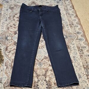 1822 Denim Navy Straight Leg Jeans